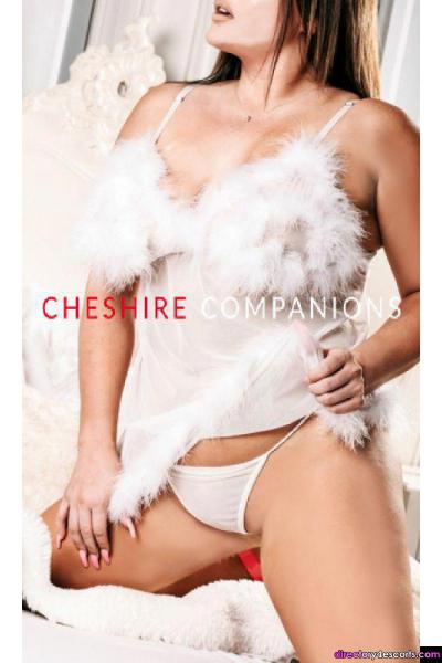 Cheshire Companions Agency